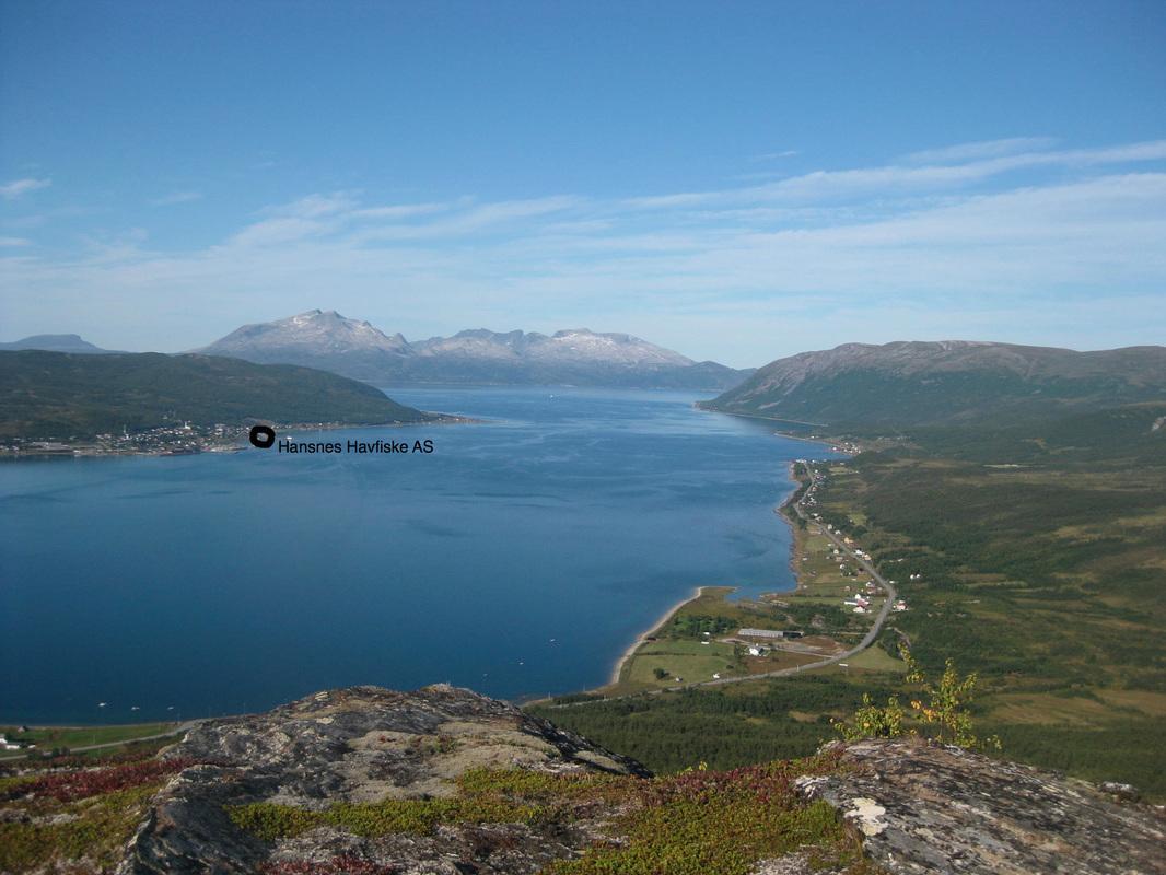Hansnes Havfiske ภายนอก รูปภาพ