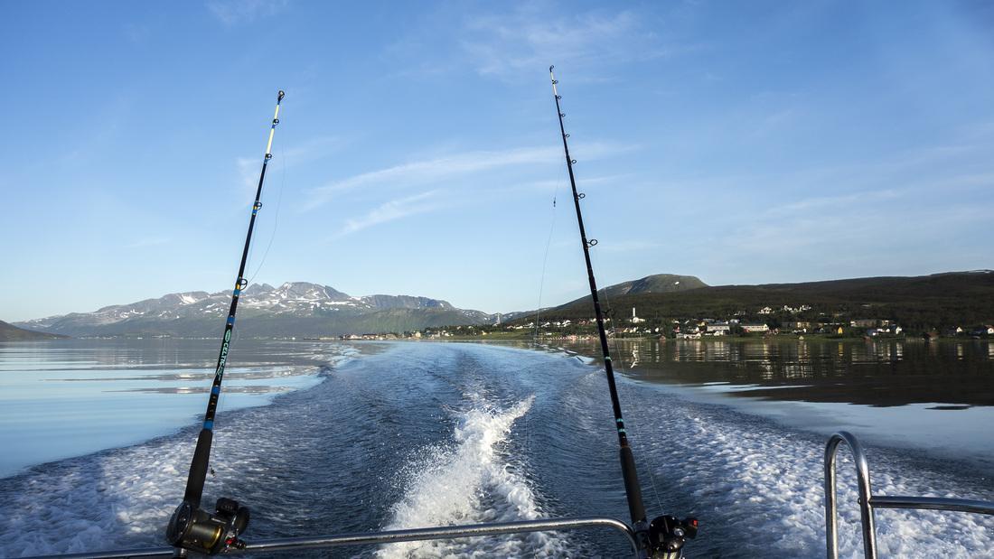 Hansnes Havfiske ภายนอก รูปภาพ